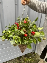 Christmas Hanging Basket